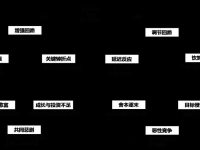 破解組織復(fù)雜問題的十大系統(tǒng)思考模式,思考魔方，成長引擎