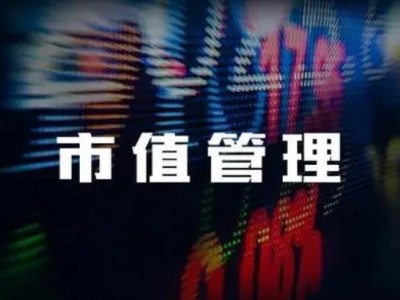市值管理與實(shí)務(wù)